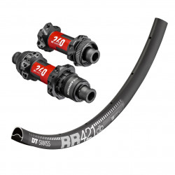 Wheel(s) DT SWISS RR 421 DISC / DT SWISS 240 SP