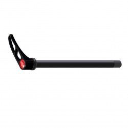 SERRAGE DE ROUE DT SWISS RWS 12 MM ARRIERE
