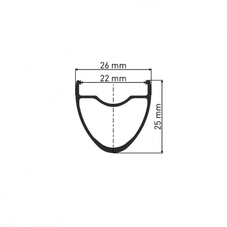 wheel-s-dt-swiss-rr-481-disc-