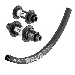 Wheel(s) DT SWISS RR 421 DISC / DT SWISS 350 CL