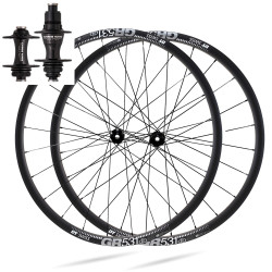 Wheel(s) DT SWISS GR 531 DISC / CHRIS KING R45 CL