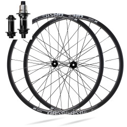 Wheel(s) DT SWISS GR 531 DISC / DUKE BADBOY CL
