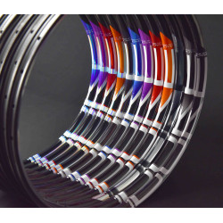 STICKERS DUKE SLS5 SÉRIE3 L